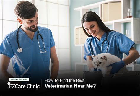 vet waynesboro tn|The Best 10 Veterinarians near TN